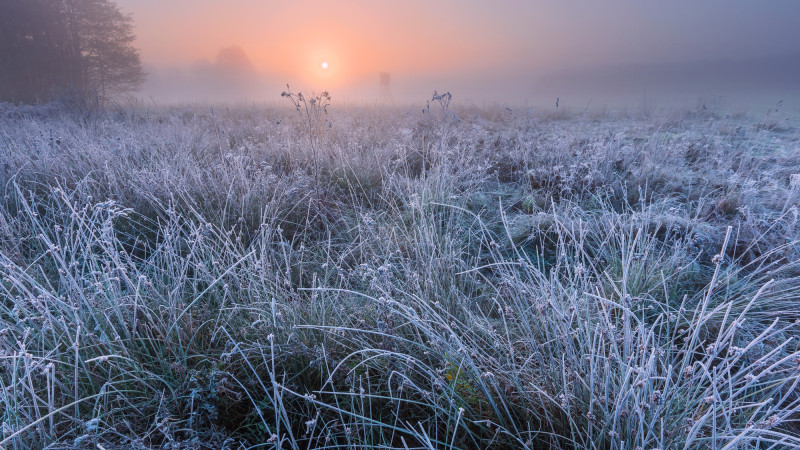 ©️ Depositphotos.com