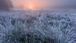 Frosts return: Weather in Kazakhstan for April 24, 25, and 26