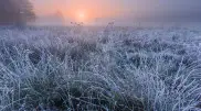 Frosts return: Weather in Kazakhstan for April 24, 25, and 26