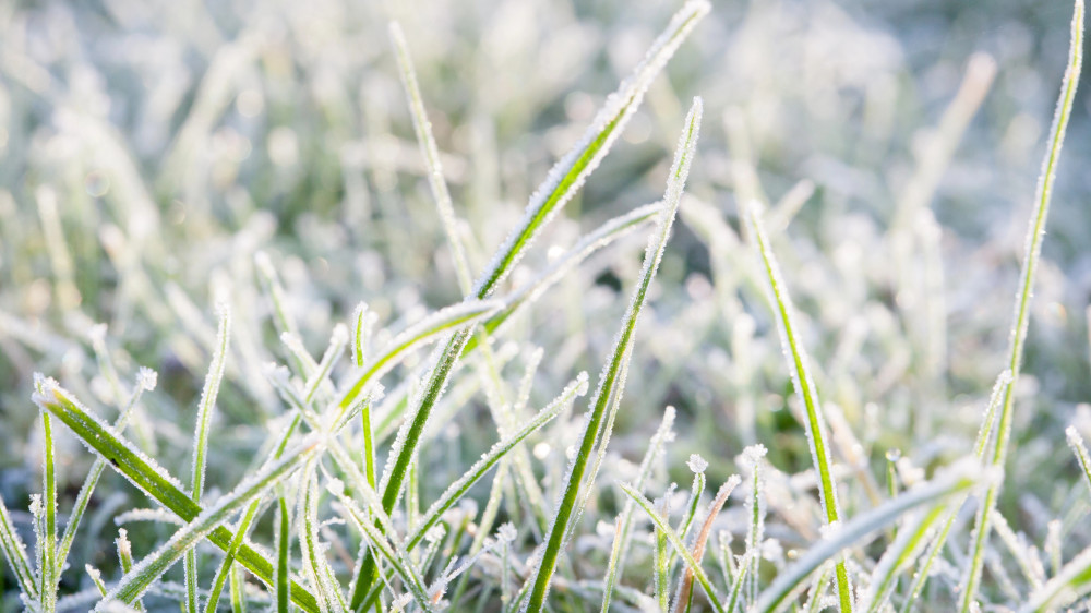 Thunderstorms, hail, frost: Kazakhstan weather forecast for May 26