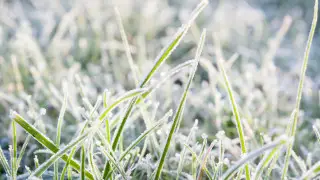 Thunderstorms, hail, frost: Kazakhstan weather forecast for May 26