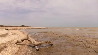 Cause of Caspian Sea shallowing revealed