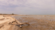 Cause of Caspian Sea shallowing revealed
