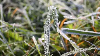 Frost warning issued for Kazakhstan