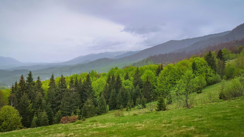 ©️ Depositphotos.com