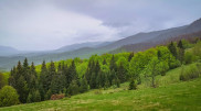 Spring ends with rain and thunder: Astana and Almaty weather forecast
