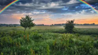 Fog, rain, and thunderstorms: weather in Kazakhstan on June 9