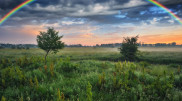 Fog, rain, and thunderstorms: weather in Kazakhstan on June 9