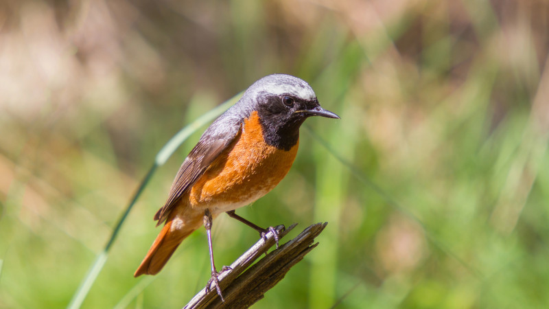 ©️ Depositphotos.com