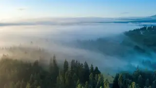 Fog and intense heat: weather forecast in Kazakhstan for June 11