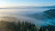 Fog and intense heat: weather forecast in Kazakhstan for June 11