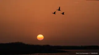 38-degree heat to sweep across Kazakhstan