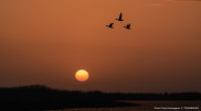 38-degree heat to sweep across Kazakhstan