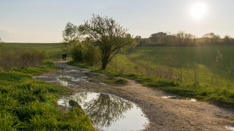 ©️ Depositphotos.com