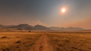 Heat up to 46°C: Kazakhstan braces for weather stress