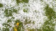 Heat up to +44°C and heavy rain with hail: weather in Kazakhstan on June 17