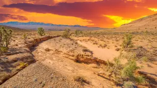 Scorching heat and dust storms: weather in Kazakhstan on June 18