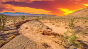 Scorching heat and dust storms: weather in Kazakhstan on June 18