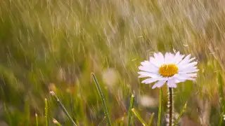 Heavy rains and cooling expected in Kazakhstan