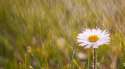 Heavy rains and cooling expected in Kazakhstan