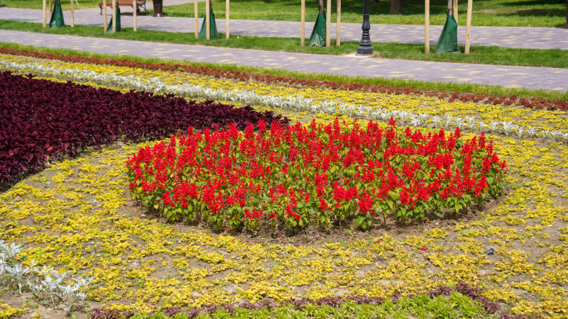 Photo ©️ Tengrinews.kz / Bolat Aitmolda