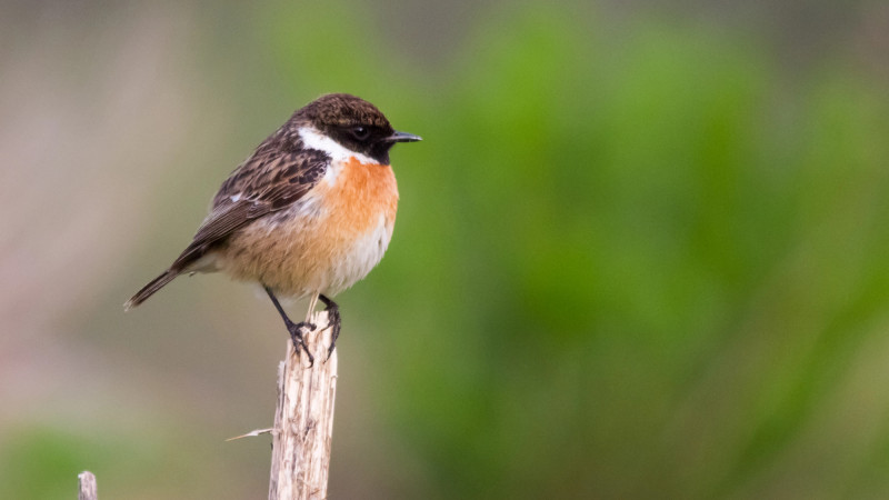 ©️ Depositphotos.com