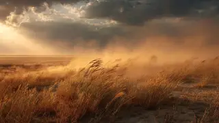 Dust storms and squally winds to hit Kazakhstan on June 20