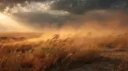 Dust storms and squally winds to hit Kazakhstan on June 20