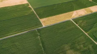 Millions worth of land returned to state ownership