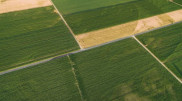 Millions worth of land returned to state ownership