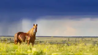 Rain and dust storms: Kazakhstan weather forecast for June 28