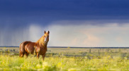 Rain and dust storms: Kazakhstan weather forecast for June 28