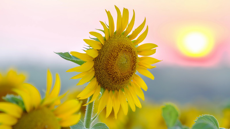 ©️ Depositphotos.com