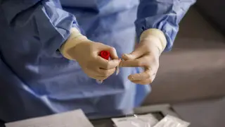 Anthrax cases reported in Akmola region