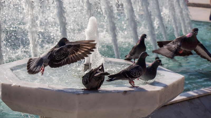 ©️ Depositphotos.com