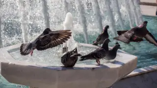 Extreme heat ahead for Astana and Almaty: Three-day forecast