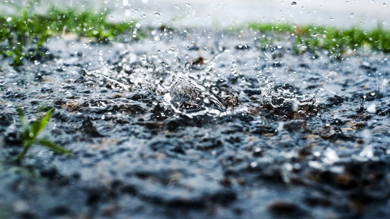 ©️ Depositphotos.com