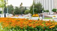 Heat, rain, thunderstorms: Weather forecast for Kazakhstan on July 7