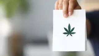 Kazakhstan to produce paper from hemp