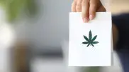 Kazakhstan to produce paper from hemp