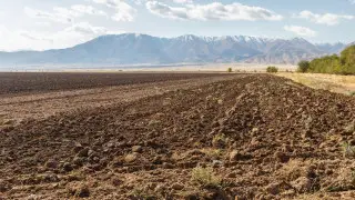 Earthquake felt across southern Kazakhstan