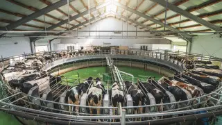 Kazakhstan to launch new agricultural information system