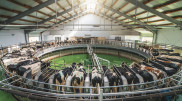 Kazakhstan to launch new agricultural information system
