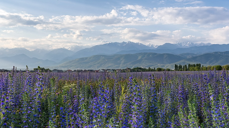 Photo: instagram.com/dots_foto