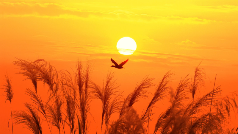 ©️ Depositphotos.com