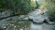 Flood risk warning issued for Almaty and Almaty region