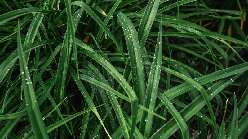 ©️ Depositphotos.com