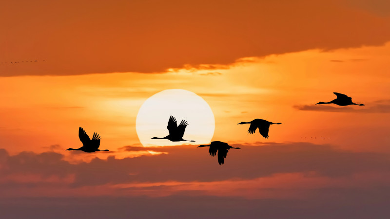 ©️ Depositphotos.com