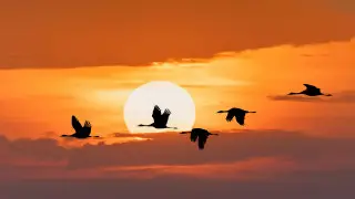 Heatwave returns: Kazakhstan weekend weather forecast