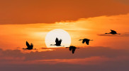 Heatwave returns: Kazakhstan weekend weather forecast